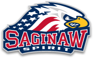 Saginaw Spirit vs. Sault Ste. Marie Greyhounds