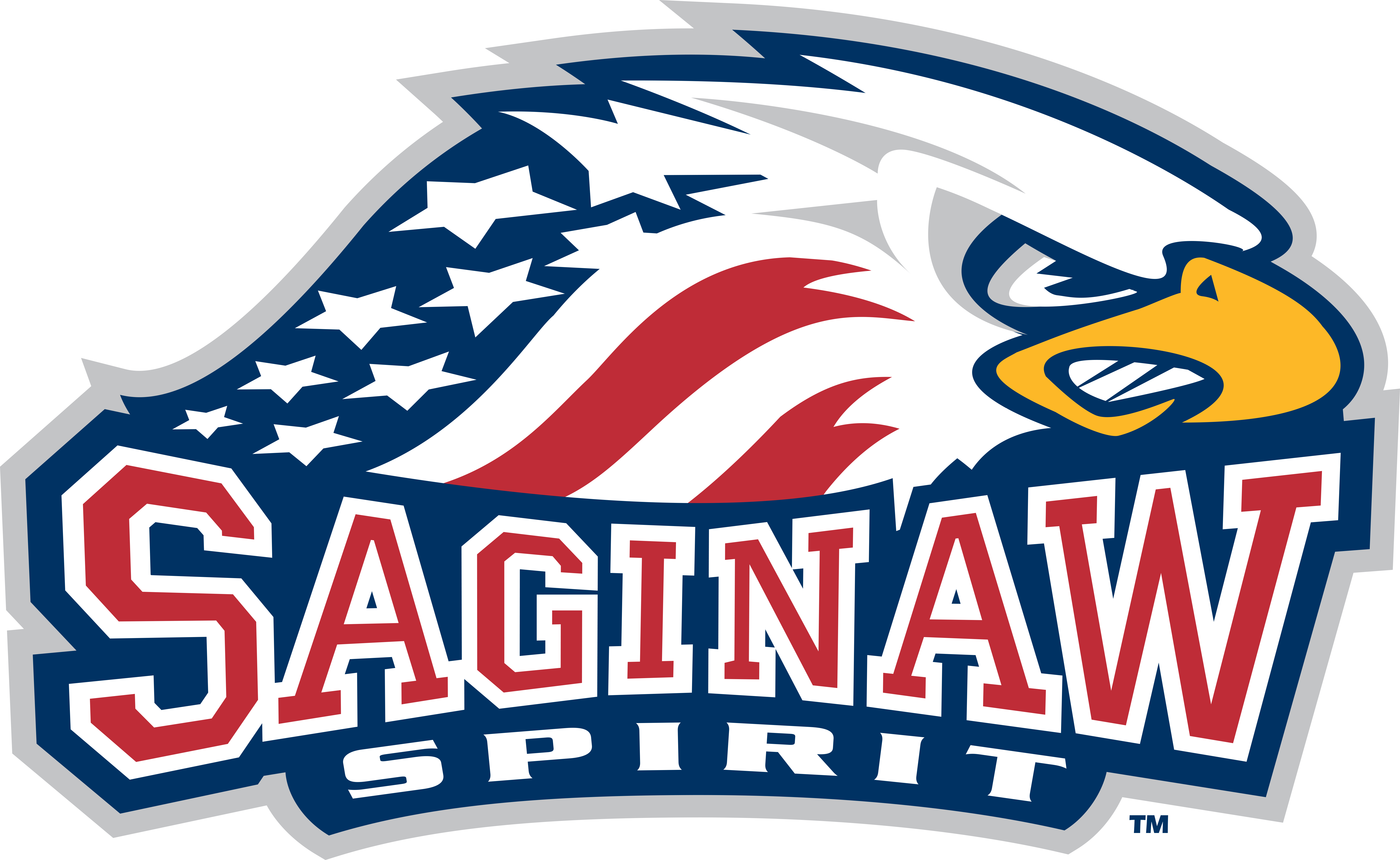Saginaw Spirit vs. Ottawa 67's