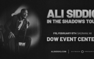 Ali Siddiq: In the Shadows Tour